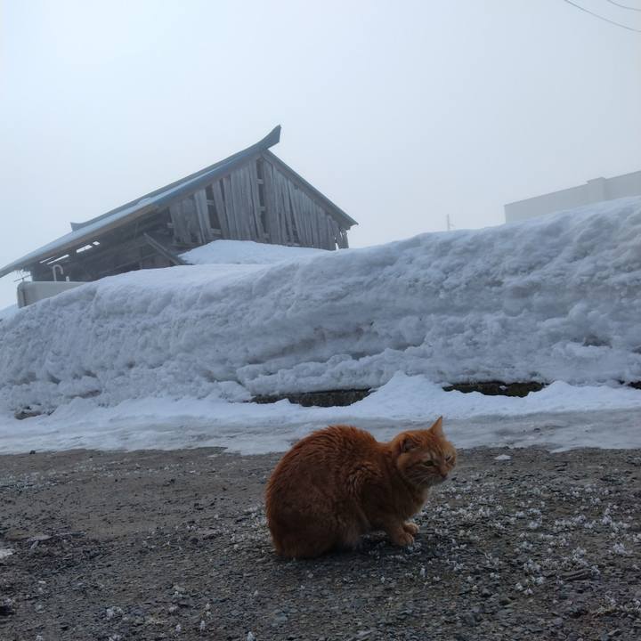 68dd709f 0c17 4045 a1e9 8e727e8ed9e0 1676157285374