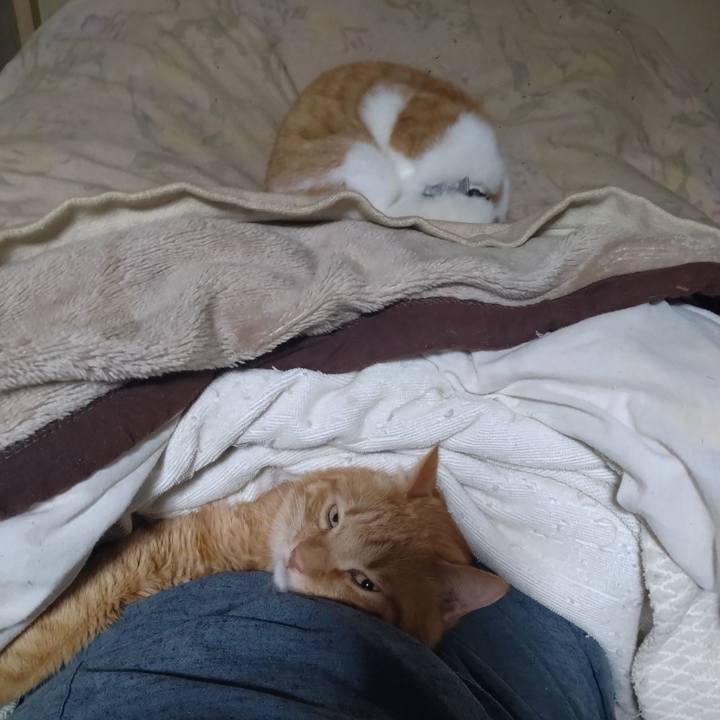 68dda5fb bec9 4ebd 95cf 8da1ddf4d87e 1767787695135