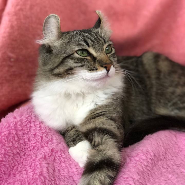 68ddbc5f f114 4330 9fc5 3644ff018496 1520829724570