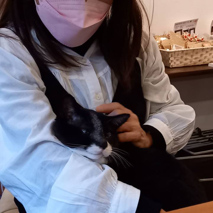 68ddf2b1 da48 461e afc9 5355fc2da51d 1671222714034