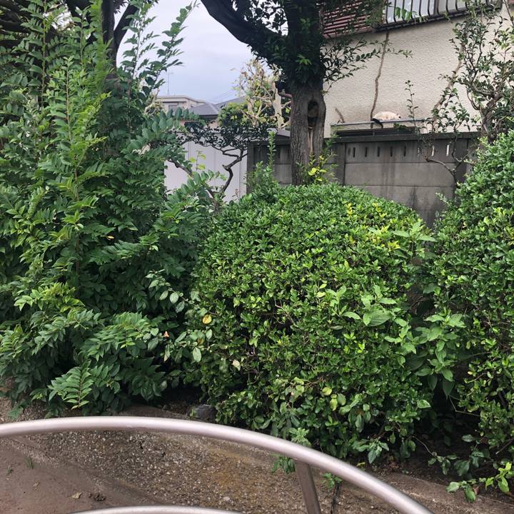 68de5eed 6915 4275 b933 2bd07bb0e25f 1569075047679