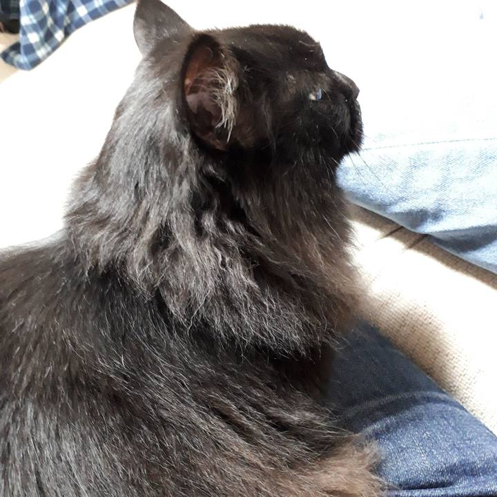 68de811a 3561 4154 9338 553d2a7bc67f 1522749025046