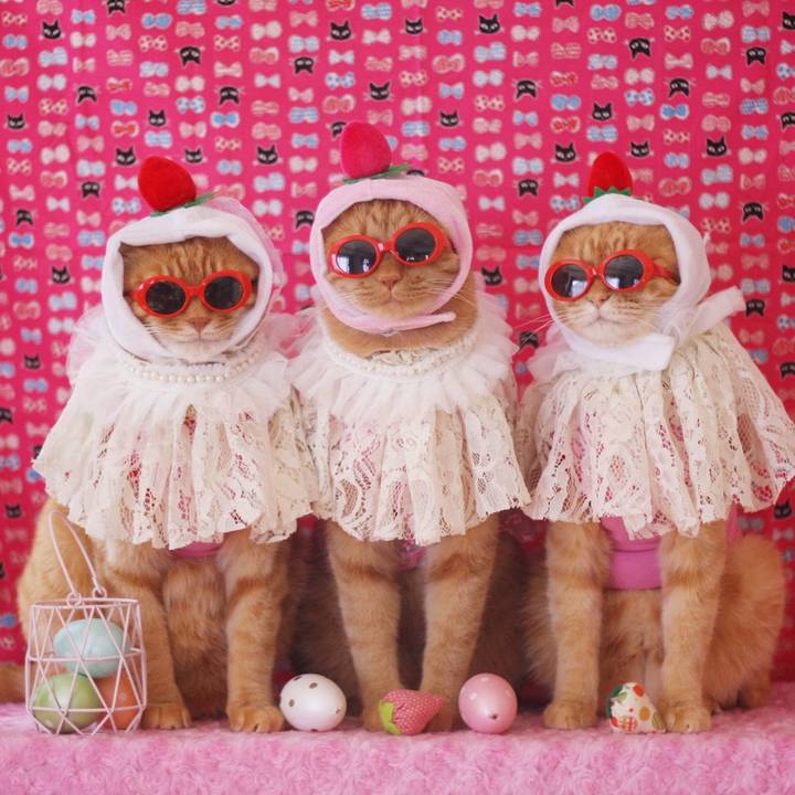 68de925f 47e3 436b 9d02 c0711c58b0c9 1656810046882