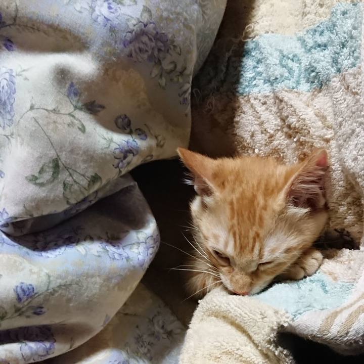 68dec2f5 47f1 48af a4d0 6aee17d4e35c 1631193813742