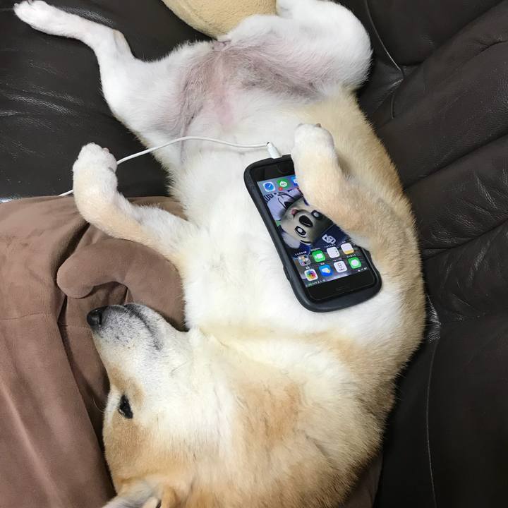 68ded3d2 b761 436b 8138 02a1616f2b6c 1518168586603