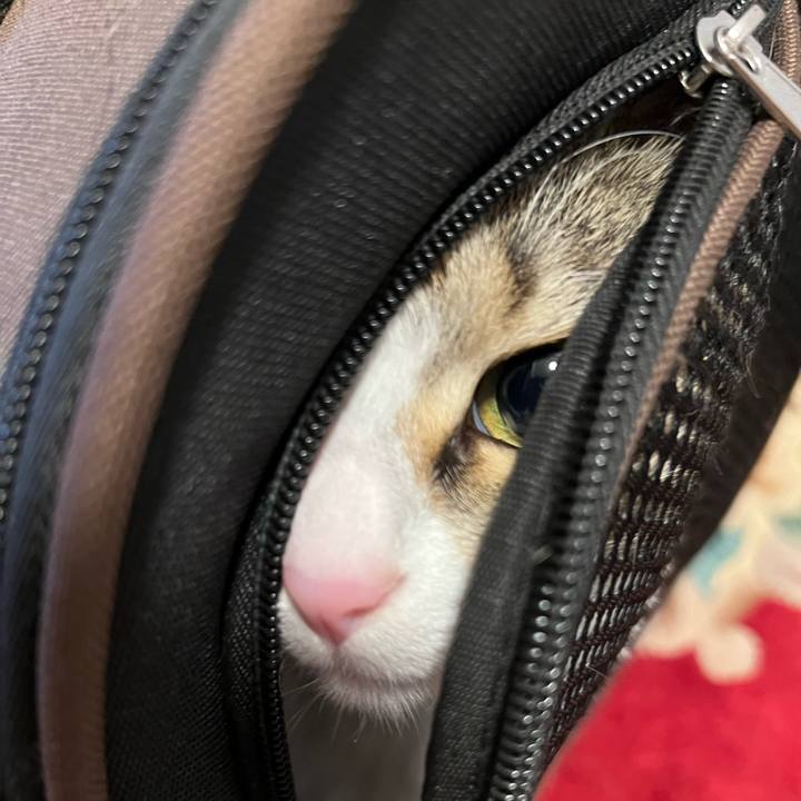 68def07f f1db 4509 9dfe 1be2f3651ba2 1726287748309