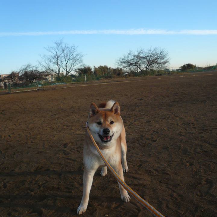 68df1733 9e94 4aa6 b9e7 acb698de7baf 1642145840545