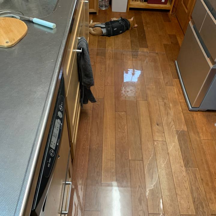 68df2eeb 6f10 4fb2 ba16 12eb54cbebfc 1660038828316