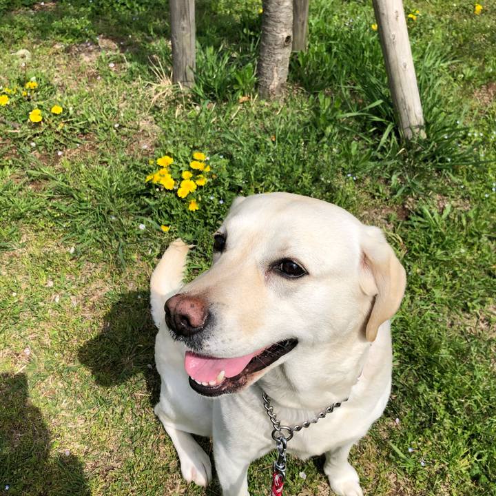 68df305d e119 419d a75d 7935e621aad4 1617706053114