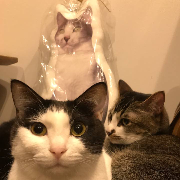 68df3d77 d484 4987 96cb 85a04b032434 1522927863406