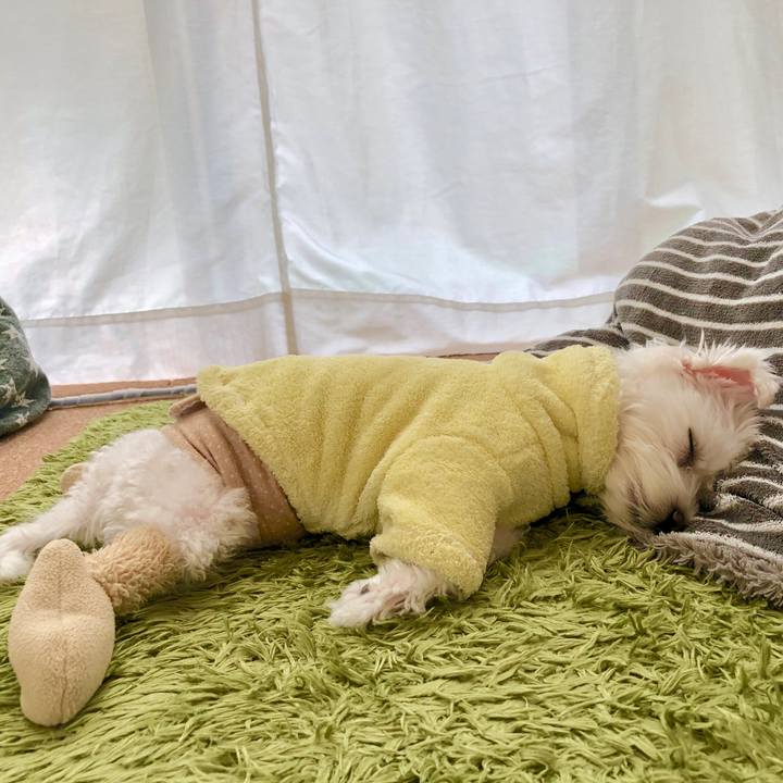 68df5b44 bb75 4e16 97d3 16ee95008c90 1545860578291