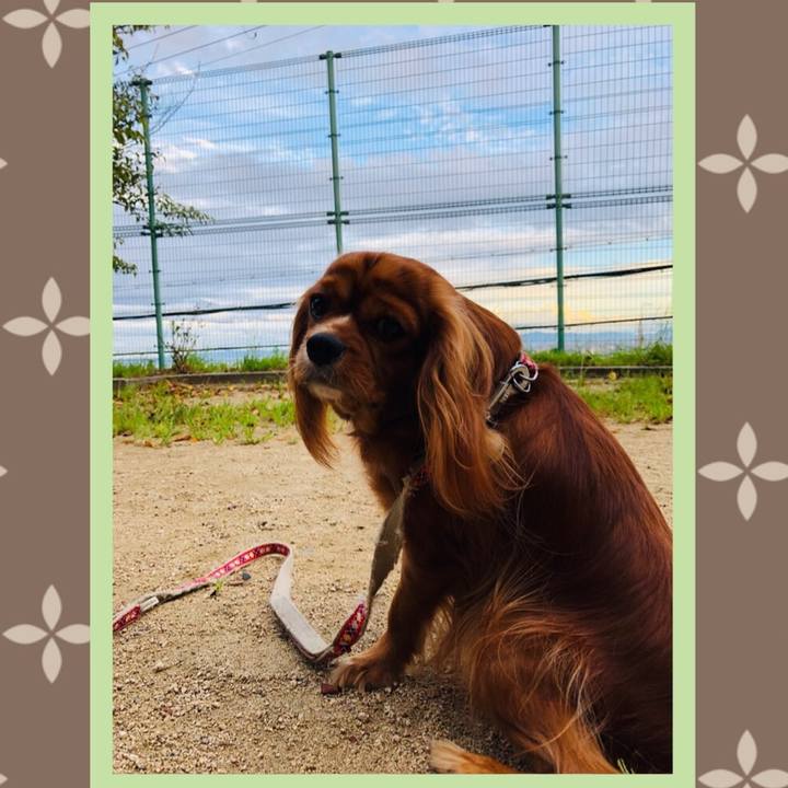 68df6c29 f539 48dd b05e d7a9a1d83fa4 1569153750379