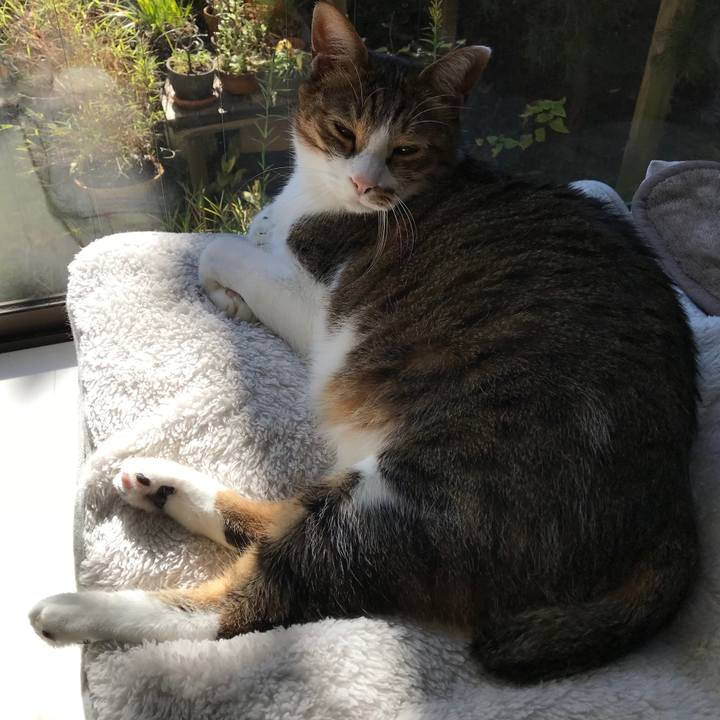 68df6e01 543a 41fb b935 a7c10dd2225c 1510984667037