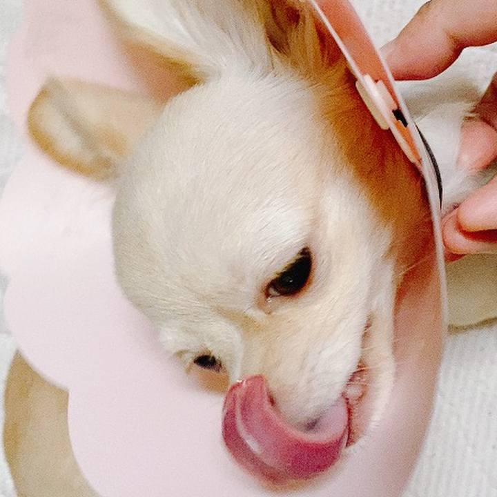 68df7894 8dc0 4541 97ba ea8df9f9c16a 1599353467979