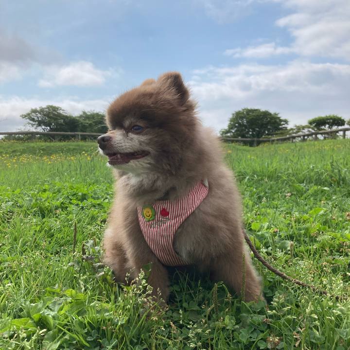 68dfb038 37aa 450d bcbf d9a44bccfc95 1657137360359