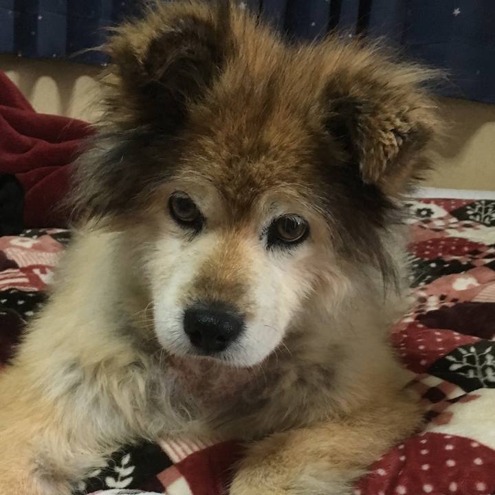 68dfb2f3 b4fc 4fd4 b198 f27b3499af86 1567639139963