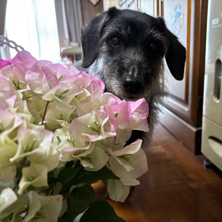 68dfd270 1269 4139 8c77 e1a629acf5ba 1747263953044