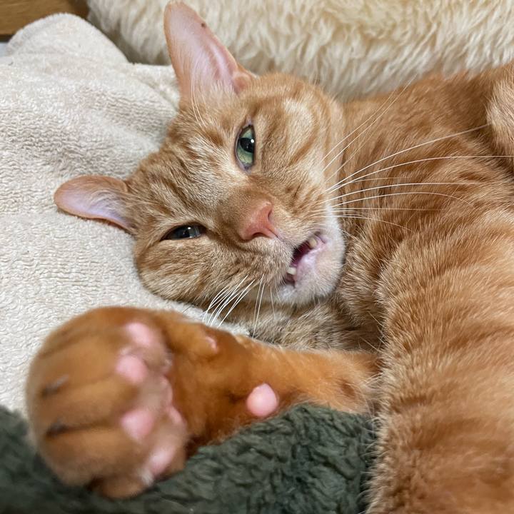 68dfdf80 8b4f 4447 a75c e8b7ce511007 1644923880944