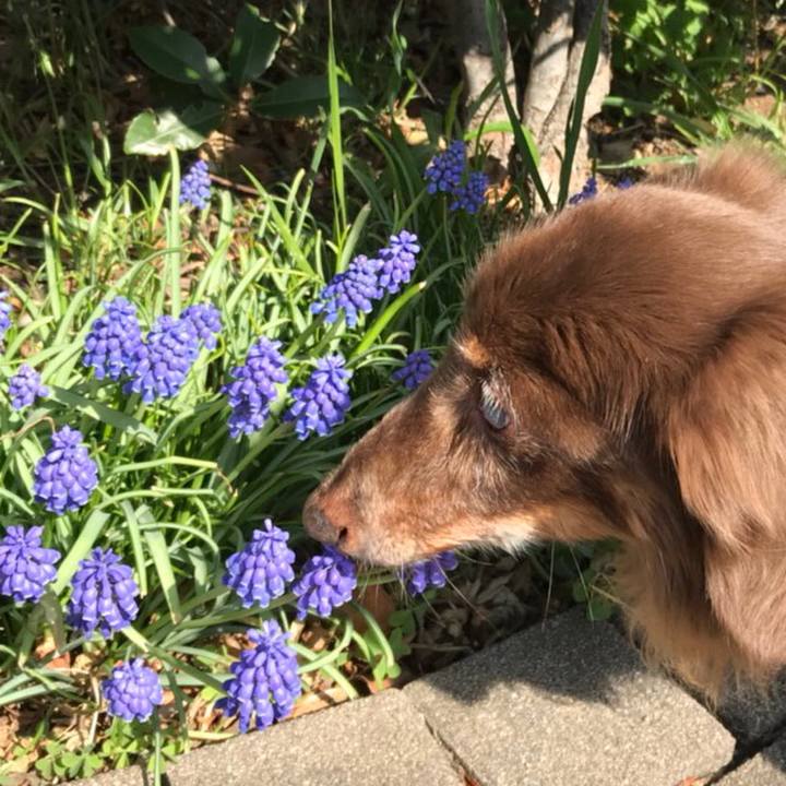 68dff552 58ec 46da b64a f2ebe17be0b6 1522551628299