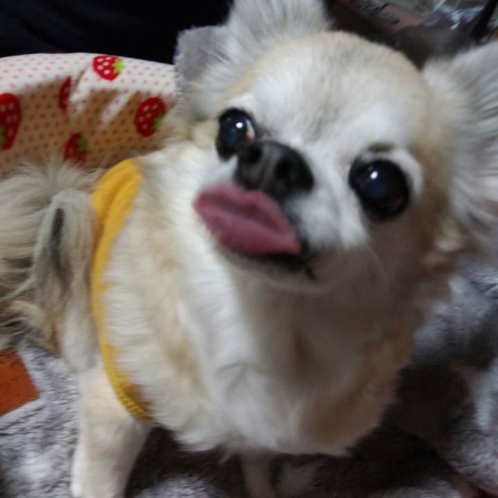 68e011af 263e 41ae b1c9 dae41c87999d 1542019183013