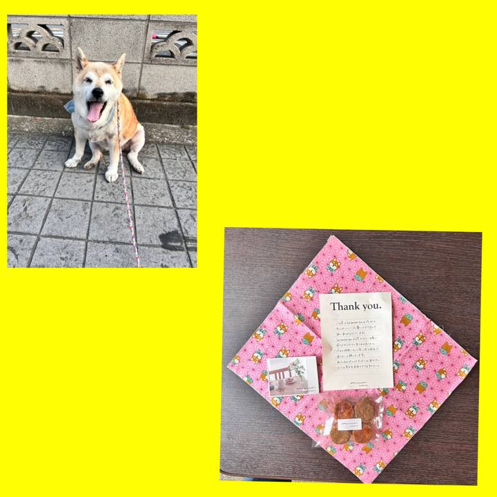 68e05152 c8a6 43b0 9ad0 2027b2f966b2 1751945078356