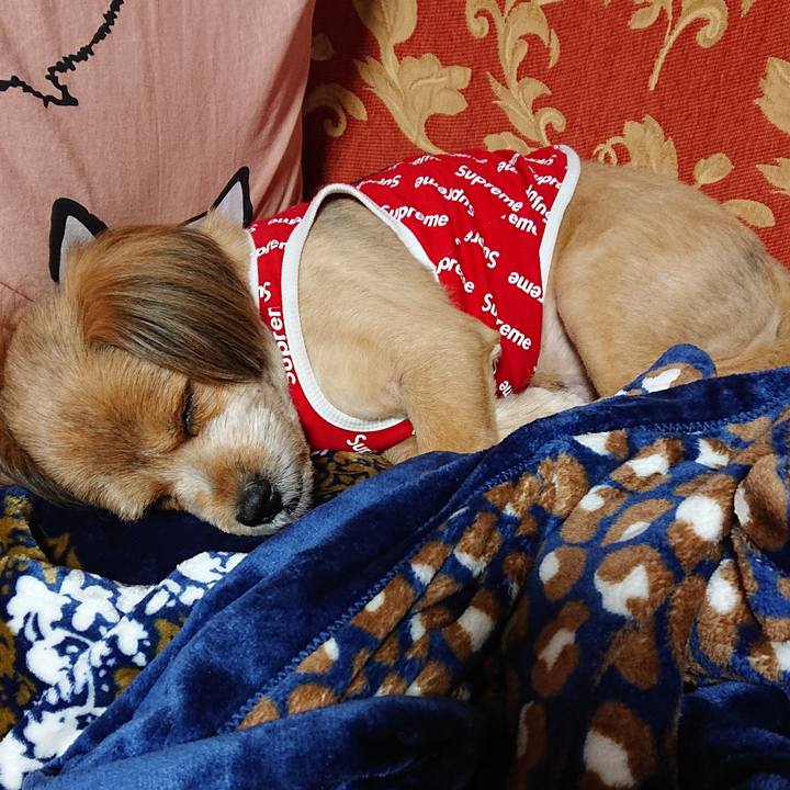 68e096e0 372b 4369 a3b7 70decffbcba1 1573567380331