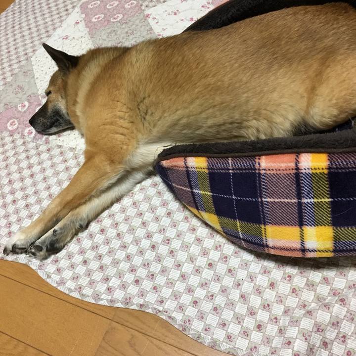 68e09938 6659 4ab6 9308 03a365239893 1517748694103