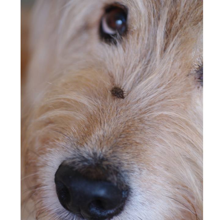 68e0dfc3 2fe0 49a1 814f 1139f8ce4ca8 1593832910573