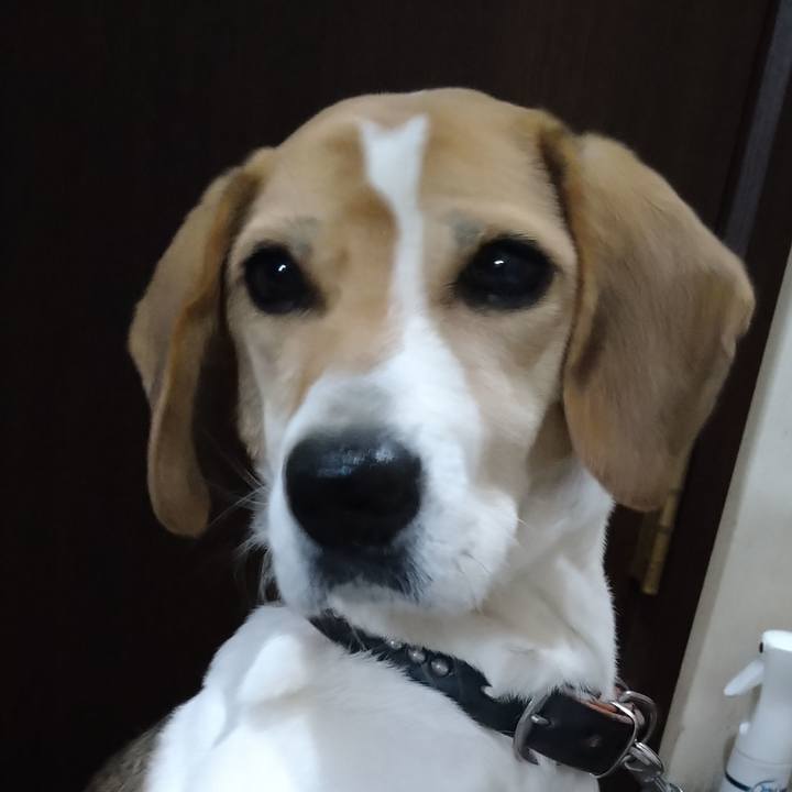 68e11825 b25b 4d79 ab1d 10c13955a16a 1639917915773