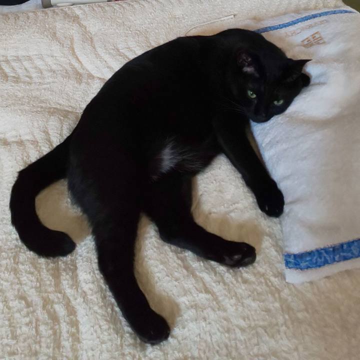 68e11d72 659e 42c3 81ec d97b6fa57504 1650677485544