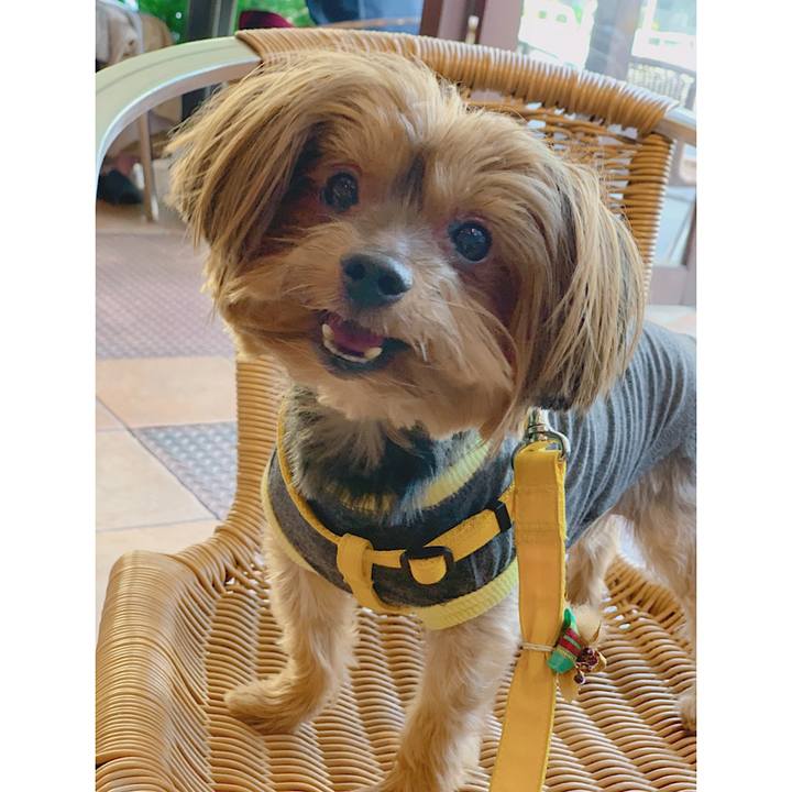 68e13a5f 65ed 443a 9750 9a0234ab2389 1573883343513