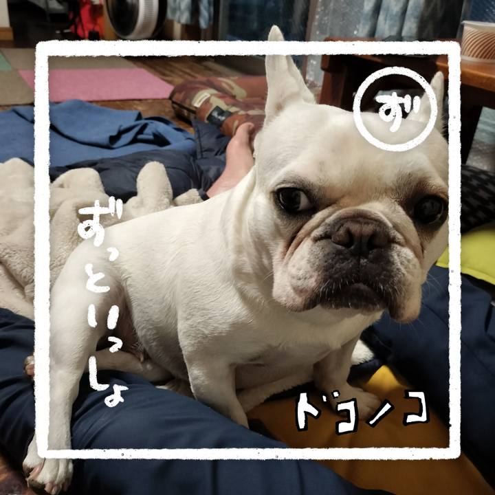 68e1495f 6931 4a17 873c 364259a72d68 1685955241437