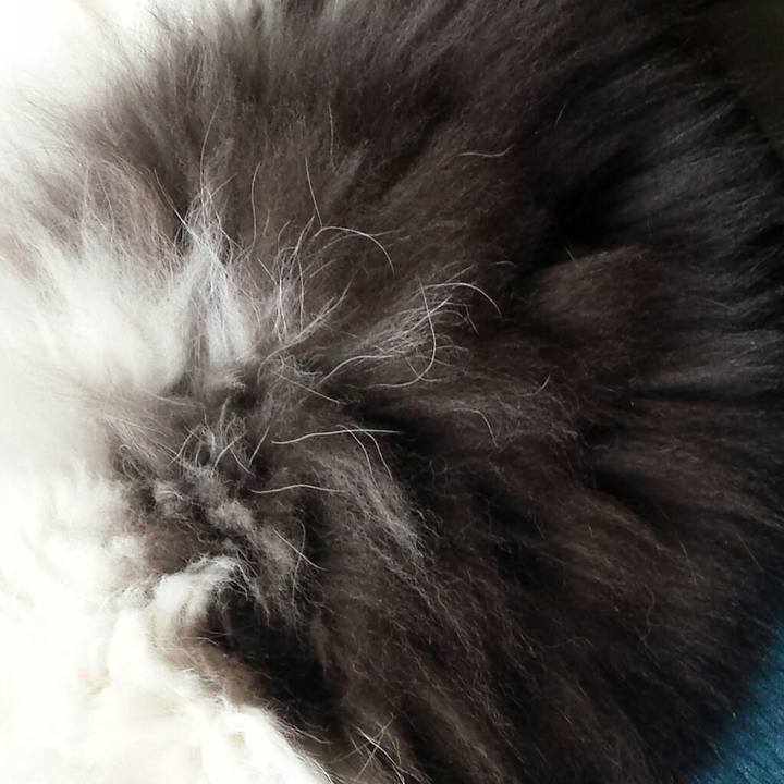 68e19939 8952 4cf5 9c98 a6fcd0177651 1517620741788