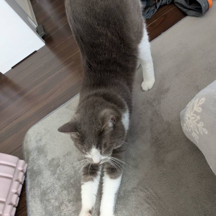 68e205ba b664 4b0c 90d6 208e819bb66f 1733207093150