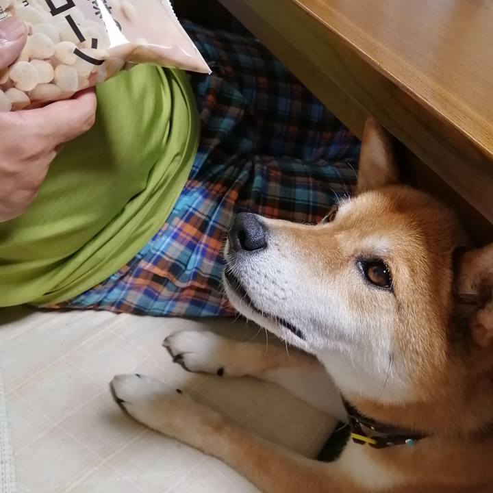 68e229ff 2830 4e6e a13c 18faa3b3db7e 1595245270304