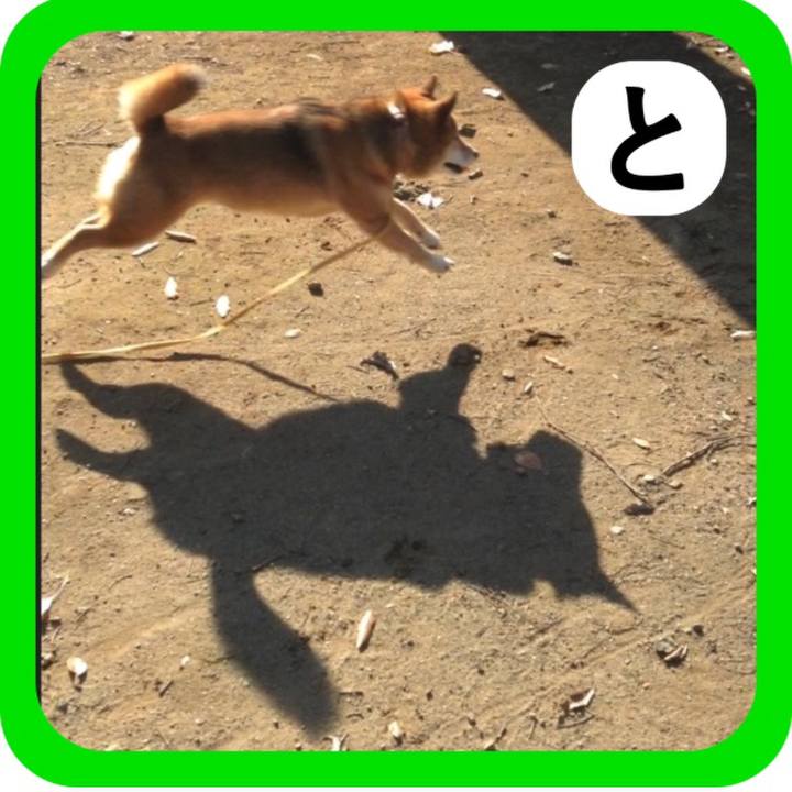 68e2c0ef 9e8c 4dd0 92c0 78d6de682751 1514785779876