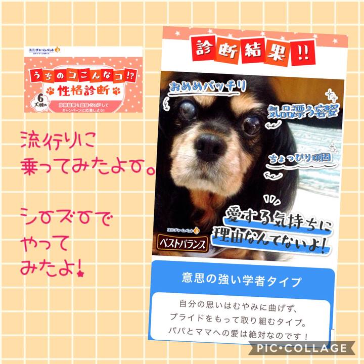 68e33580 fc3d 4aff a159 637bc6c56c3f 1542032931299