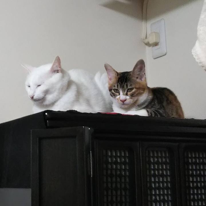 68e39143 5cb9 4215 9612 3a7de98f4df9 1629882752939