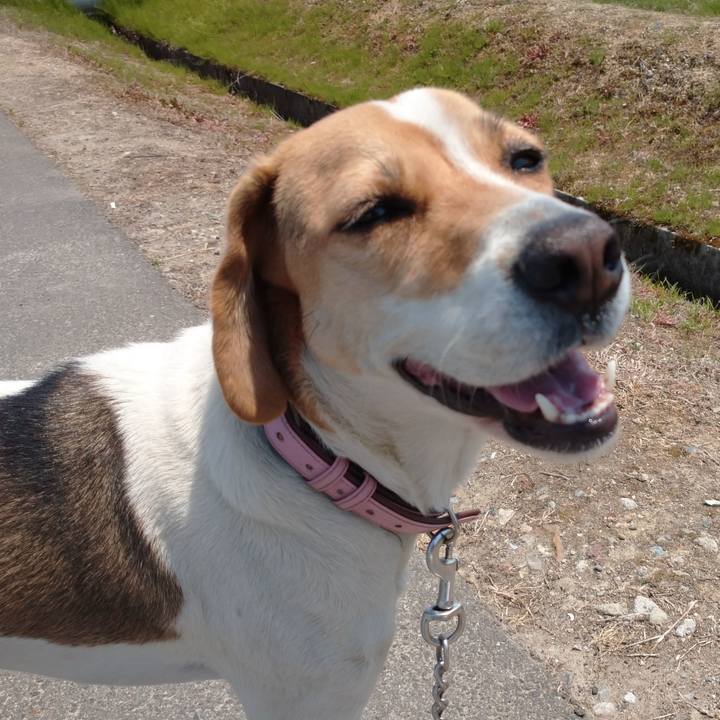 68e3fd98 15c6 43a2 94a7 22fae321f823 1588046111488