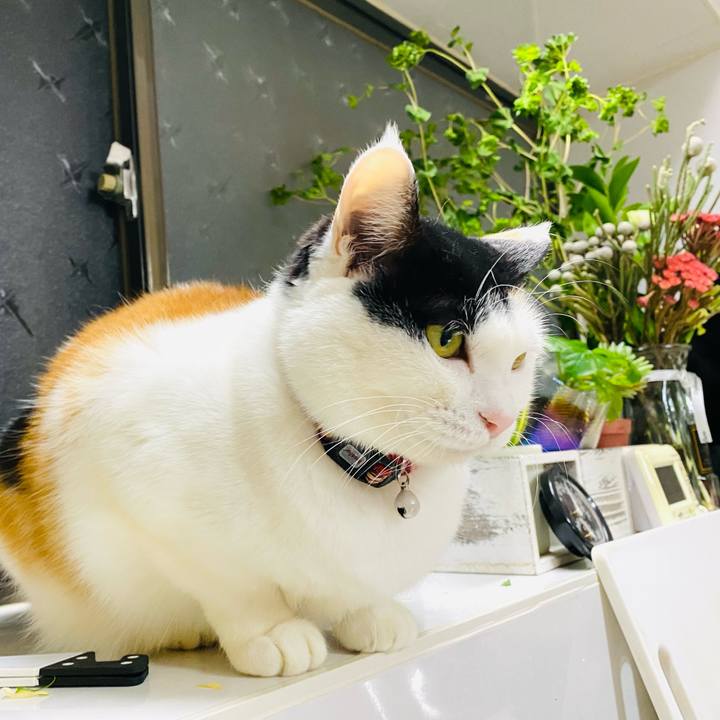 68e40939 d464 4573 a20c 5d73ba188f03 1674561611435