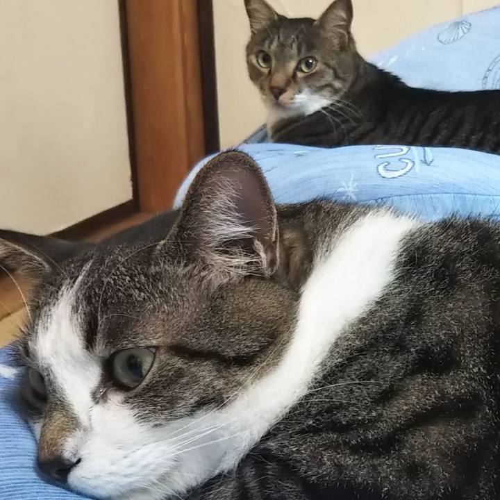 68e40b50 0ebe 4085 affd ecf3e684906b 1602152850521