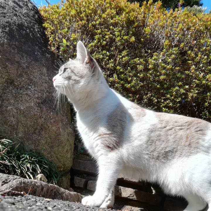 68e41d2d 87de 4bcb a4d5 675b2b1e7381 1577845919611