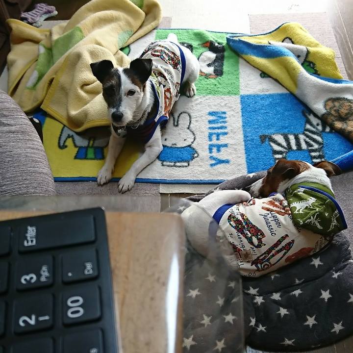 68e46644 5931 4ca6 83c1 2d95bc41fd53 1586308875747