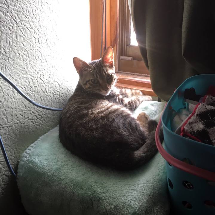 68e47f86 4e36 4d97 ba68 fd3b6b0b5014 1537914330687