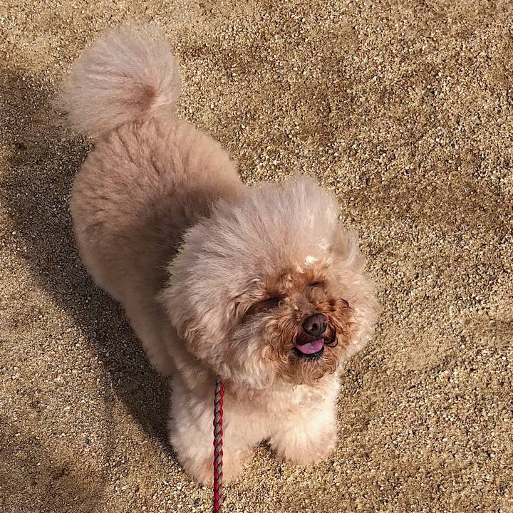 68e49ca1 91d8 4451 8e9c 6cfa327a0e78 1538473544172