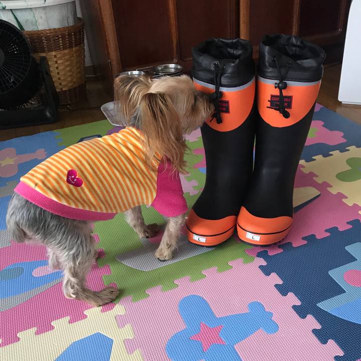 68e4adee 5f0a 46e2 a99d fb93846948e6 1609837587372