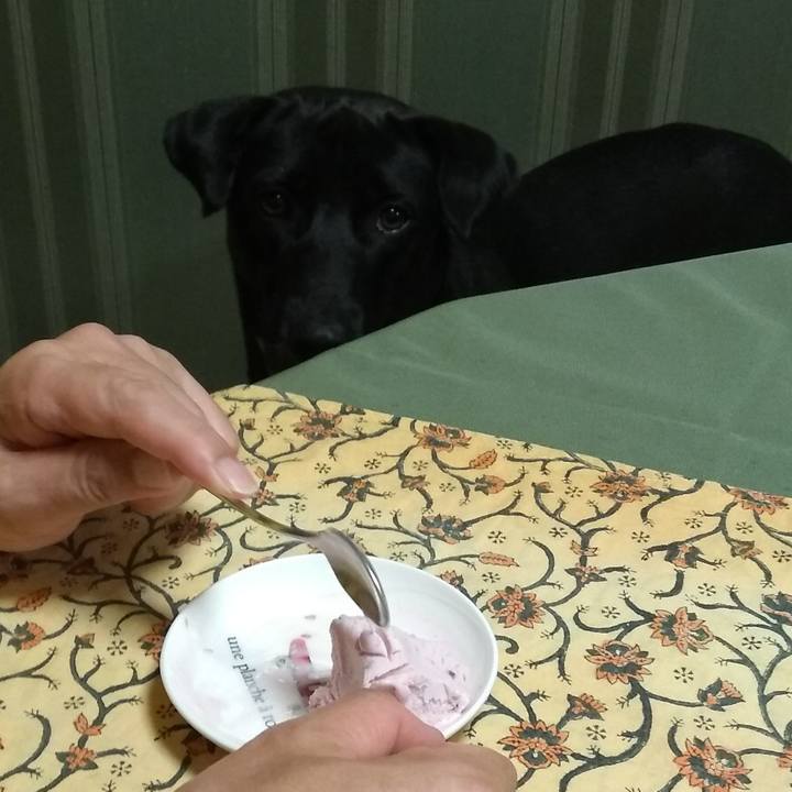 68e4bc4a 2b5c 4a05 ae67 fd7f23ab8be5 1597676720087