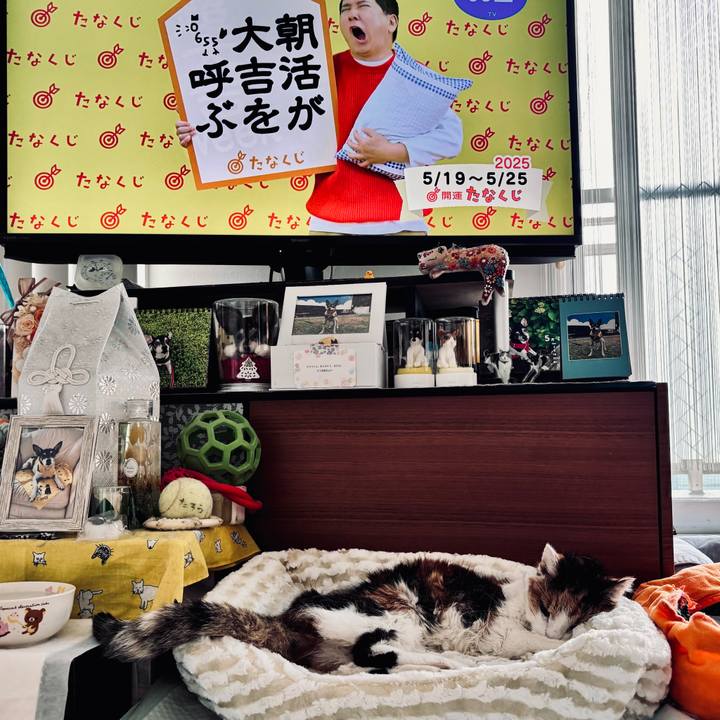 68e4c380 6dfc 4697 84a7 46cdc2ab12a6 1747608473849