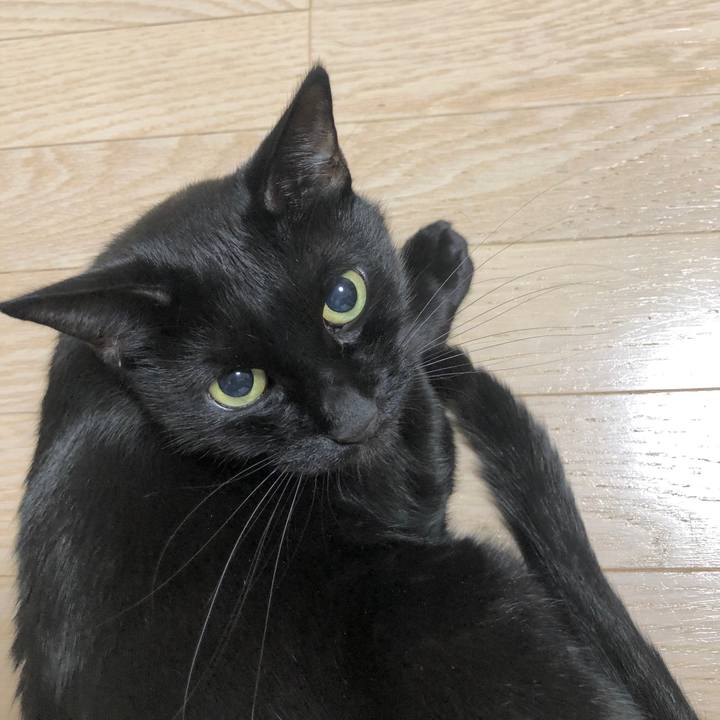 68e4d742 34df 4c66 b5f5 bdccb1a187f3 1604061773424