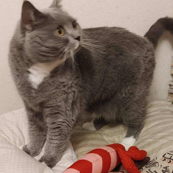 68e51639 b9ac 4f09 a795 7a21d990255c 1617194371251